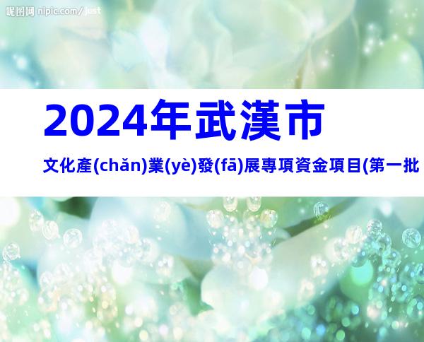 2024年武漢市文化產(chǎn)業(yè)發(fā)展專項資金項目(第一批)申報條件、時間